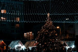 Christmas Garden