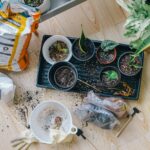 Tipps für die ersten Pflanzungen