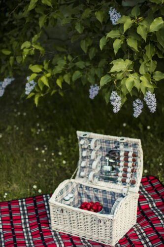 Familien-Osterpicknick