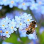 Weltbienentag